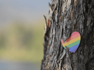 Image of a rainbow colored heart cut-out on a tree